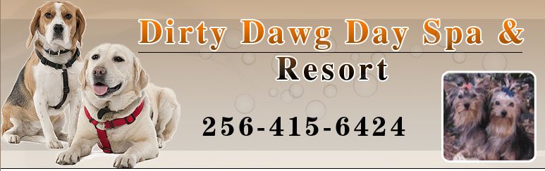 Logo for Dirty Dawg Day Spa & Resort