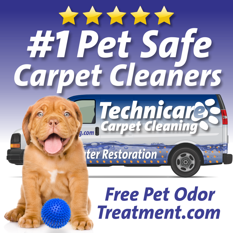 Logo for Technicare Carpet Cleaning