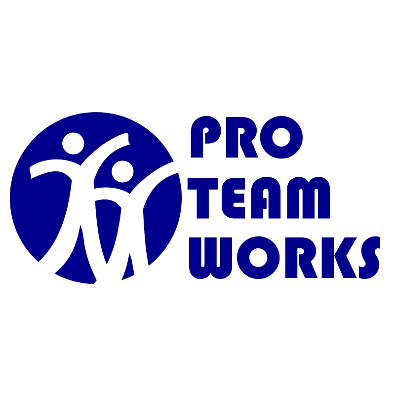 Avatar for Pro Team Works Inc