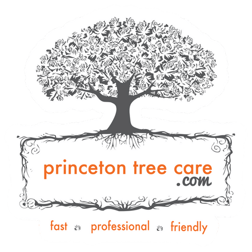 Logo for Princeton Tree Care
