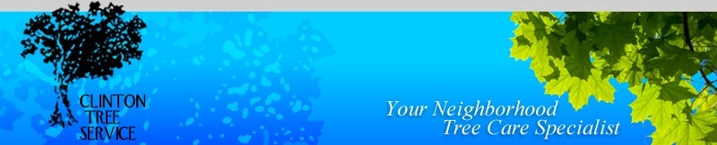 Logo for Clinton Tree Service