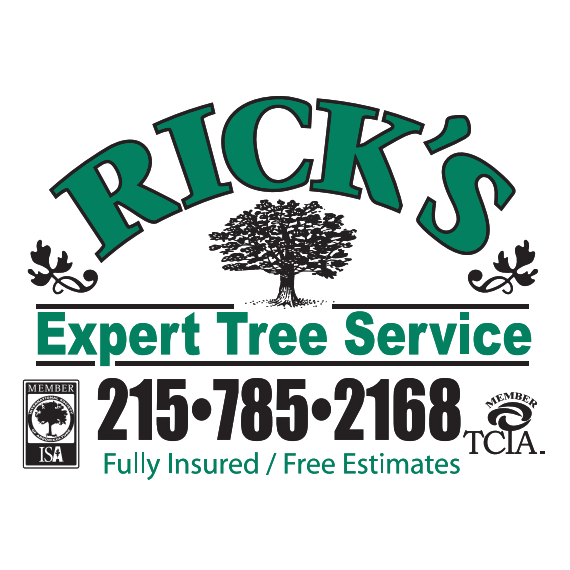 Logo for Rick's Expert Tree Service