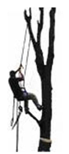 Logo for F&D TREE SERVICE