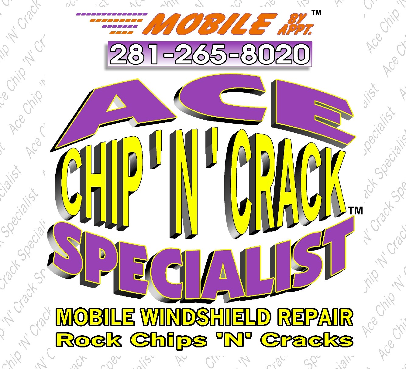 Logo for Ace Chip 'N' Crack Specialist Windshield Repair