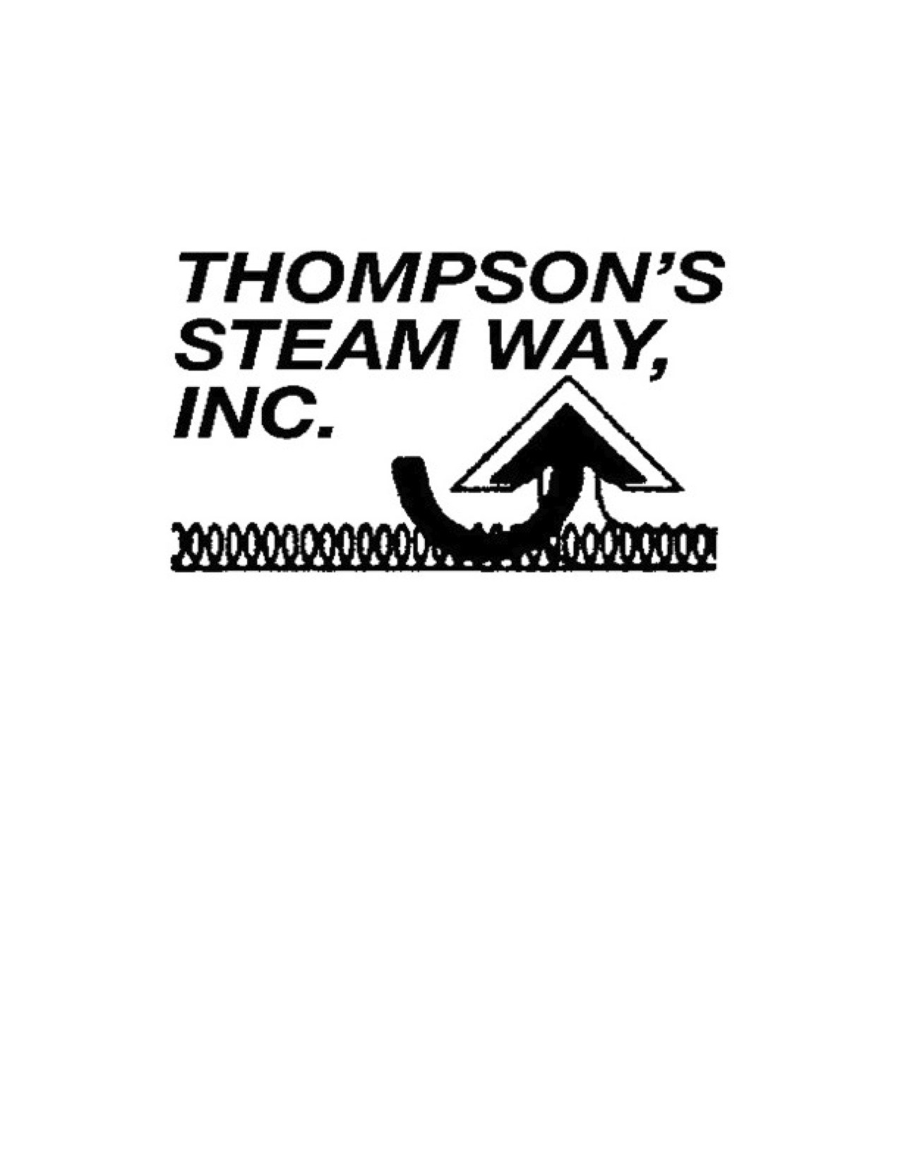 THOMPSON'S STEAM WAY, INC. logo