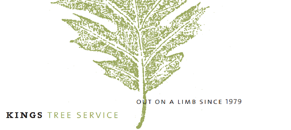 King's Tree Service logo
