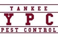 Logo for YANKEE PEST CONTROL