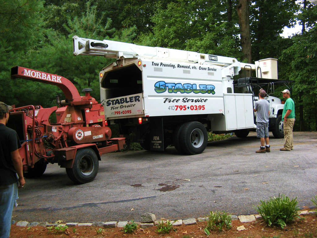 STABLER TREE SERVICE logo