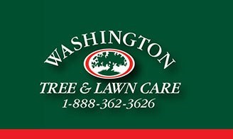 Washington Tree and Lawn Care logo