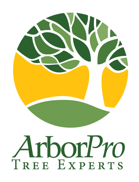 Avatar for ARBORPRO TREE EXPERTS
