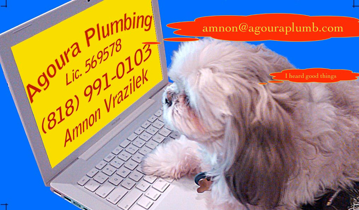 Logo for AGOURA PLUMBING
