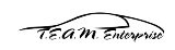 TEAM ENTERPRISE INC logo