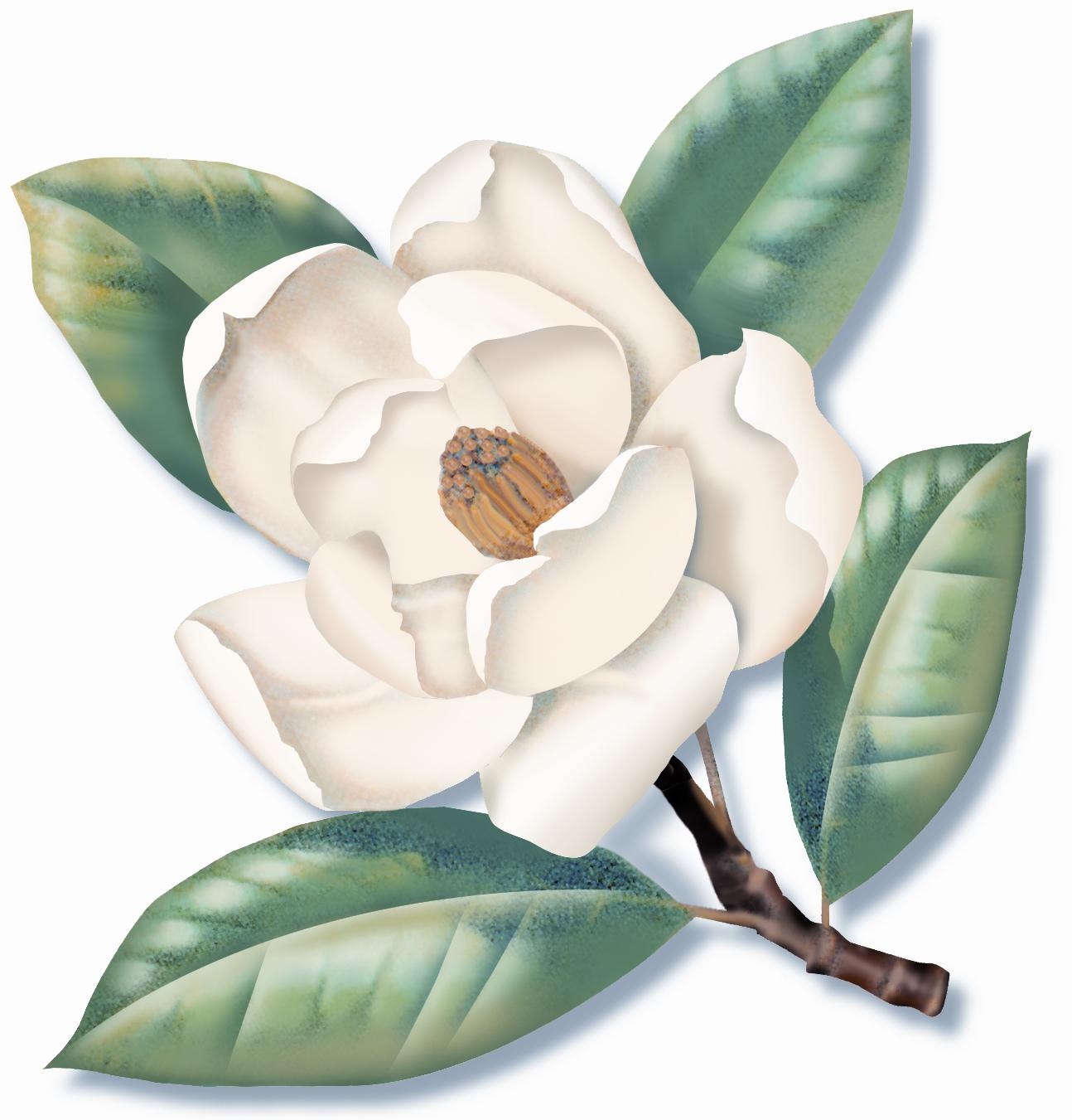 Southern California Tree and Landscape, Inc. logo