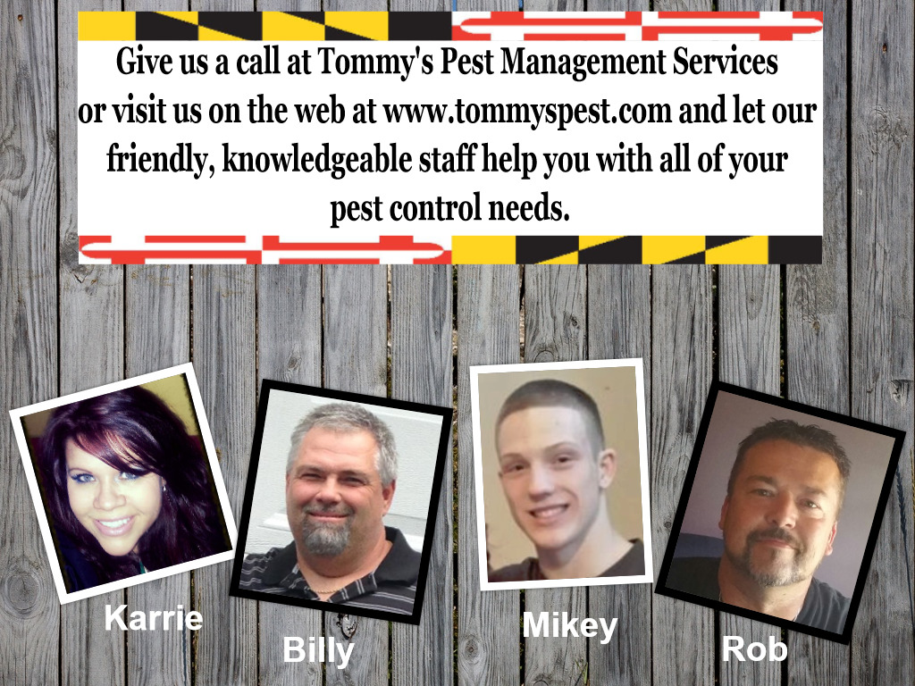 Tommy's Pest Management Services Inc logo
