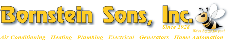 Logo for BORNSTEIN SONS INC