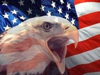 Logo for Stars and Stripes Roofing