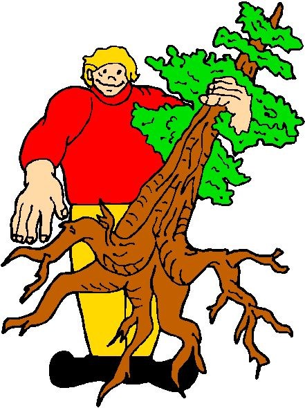 Avatar for Steve's Lawn & Landscaping Service Inc
