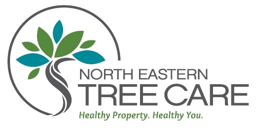 Avatar for North Eastern Tree Care