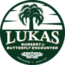 Avatar for Lukas Nursery & Butterfly Encounter