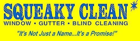 Logo for SQUEAKY CLEAN WINDOW CLEANERS