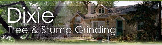 Logo for DIXIE TREE SERVICE