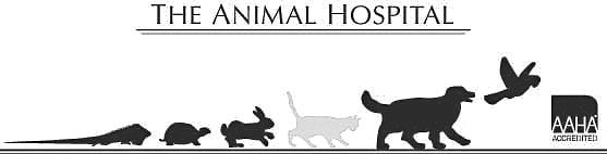ANIMAL HOSPITAL OF CARRBORO logo