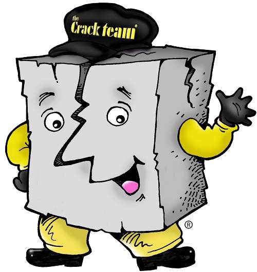 Logo for The Crack Team