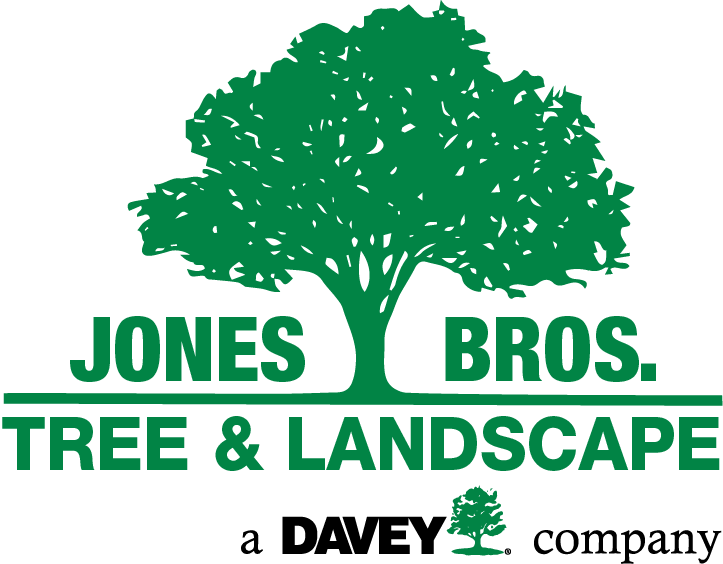Logo for The Davey Tree Expert Company