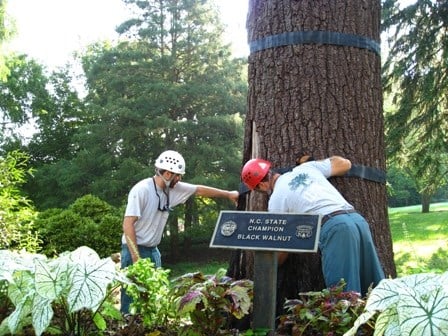 Avatar for Lusk Tree Care Services, Inc