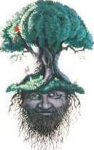 Avatar for ARBOR ART TREE SERVICE llc