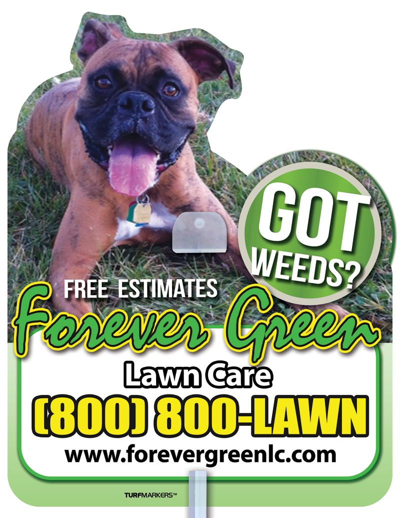 Logo for Forever Green Lawn Care Inc