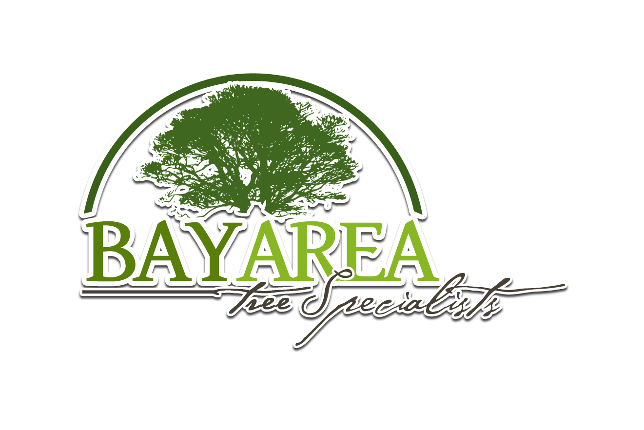 Logo for BAY AREA TREE SPECIALISTS