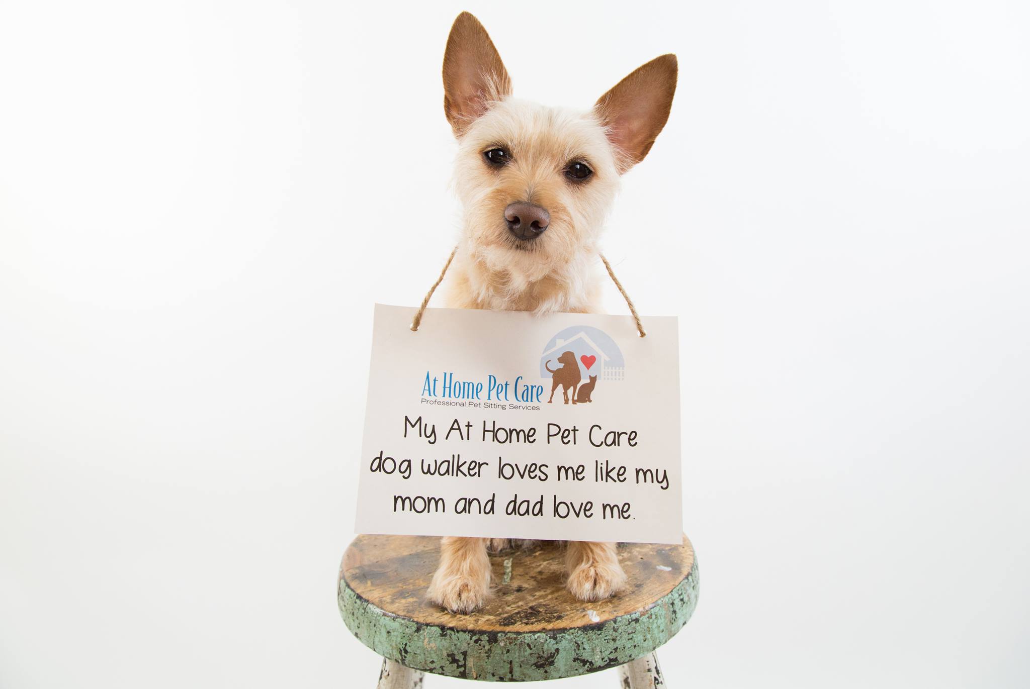 Logo for At Home Pet Care
