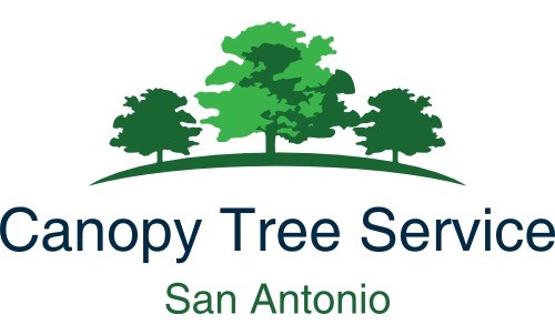 Canopy Tree Service logo