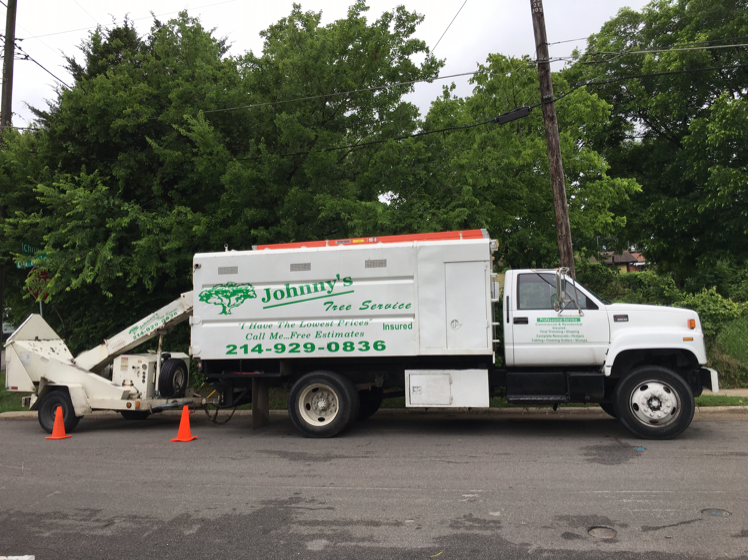 Johnny's Tree Service logo