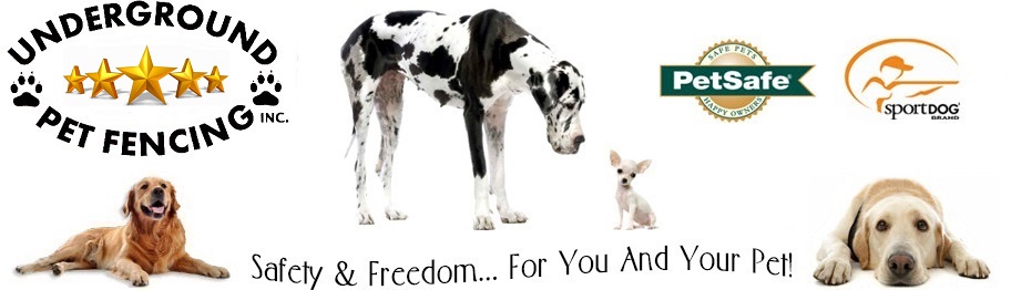A+ Underground Pet Fencing, Inc. logo