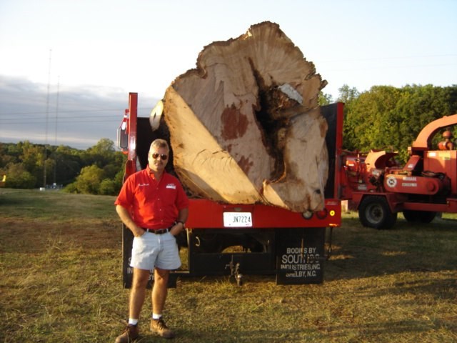 Murphy Tree Service logo