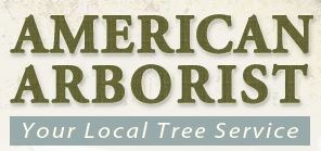 Avatar for AMERICAN ARBORIST/Sabia Landscape