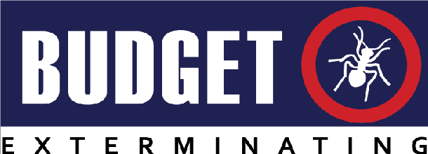 Logo for BUDGET EXTERMINATING INC
