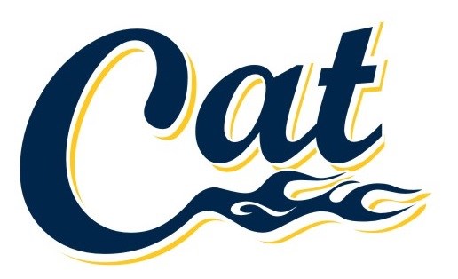 Logo for CAT Services LLC (appliance repair)
