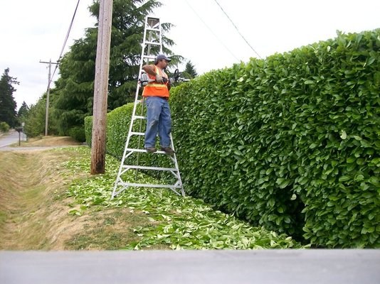 La casa verde landscaping (Lic # 602 681 093) logo