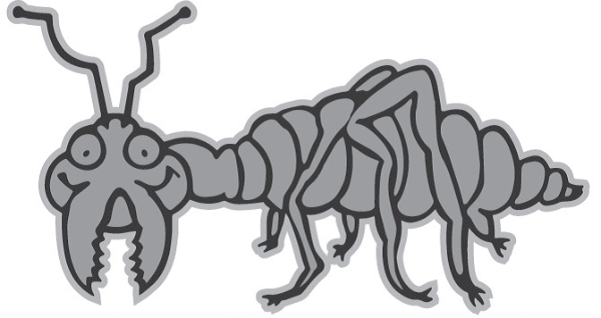 TEAMWORK TERMITE logo
