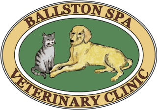 Logo for Ballston Spa Veterinary Clinic