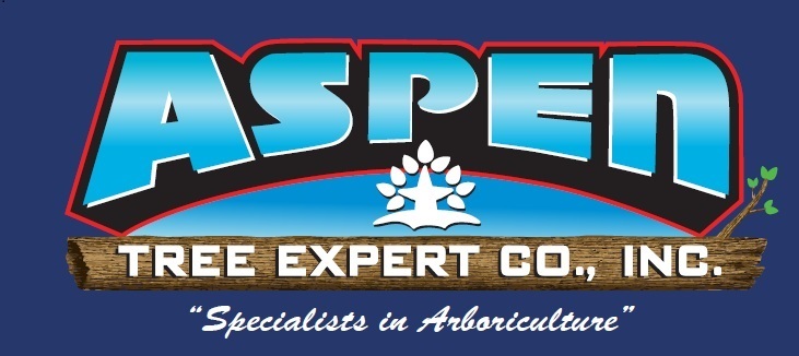 Logo for ASPEN TREE EXPERT CO