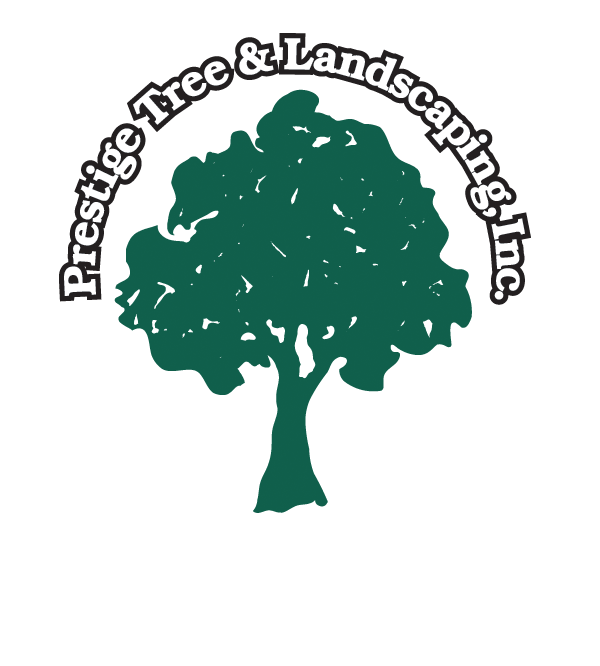 PRESTIGE TREE & LANDSCAPING INC logo