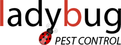 Lady Bug Pest Control logo