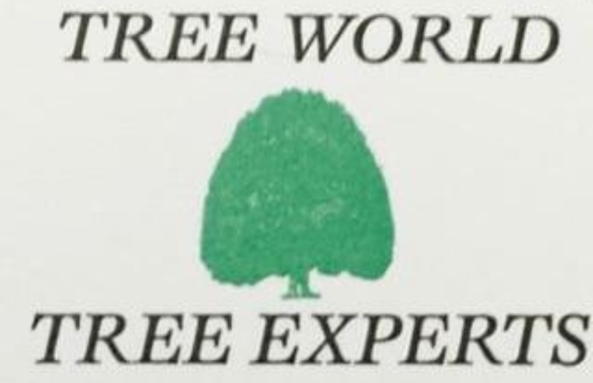 Tree World Tree Experts logo