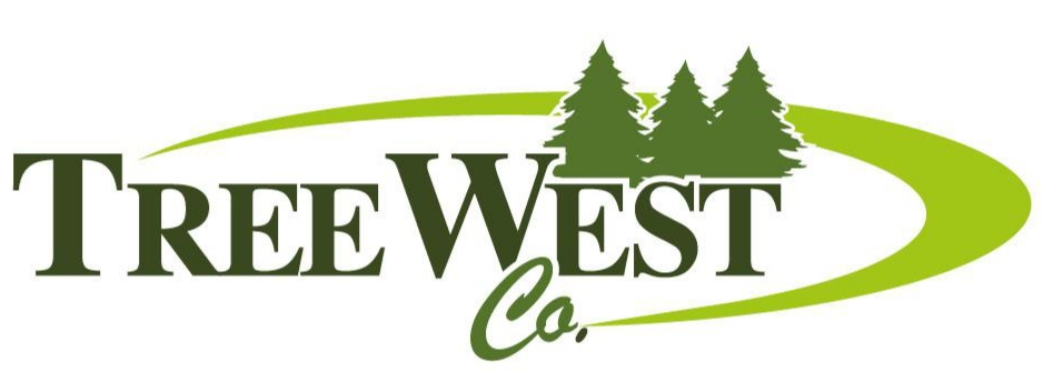 Avatar for TREEWEST CO.