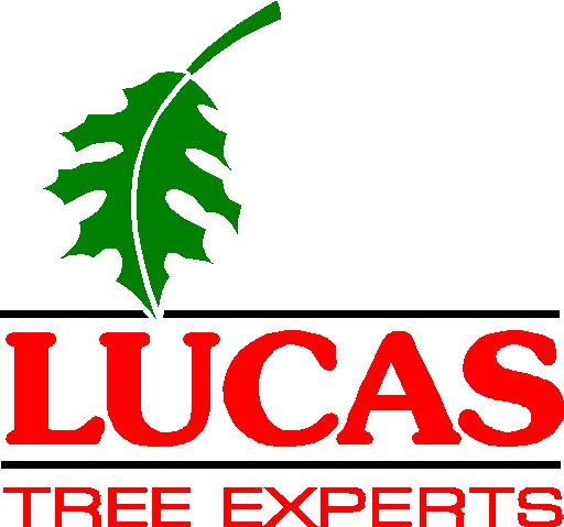LUCAS TREE EXPERTS logo