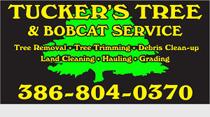 TUCKER'S TREE & BOBCAT SERVICE logo
